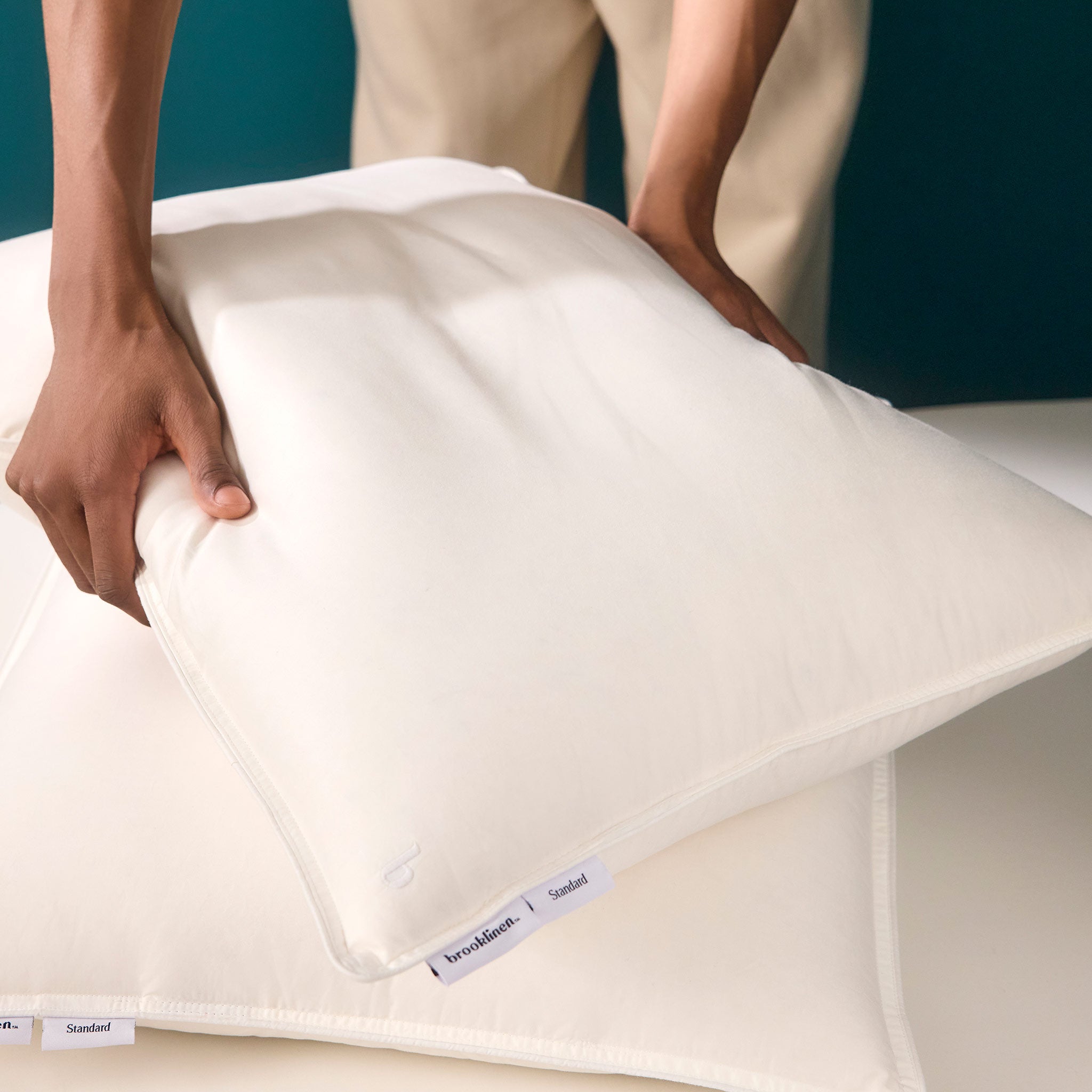 Down Pillow F3
