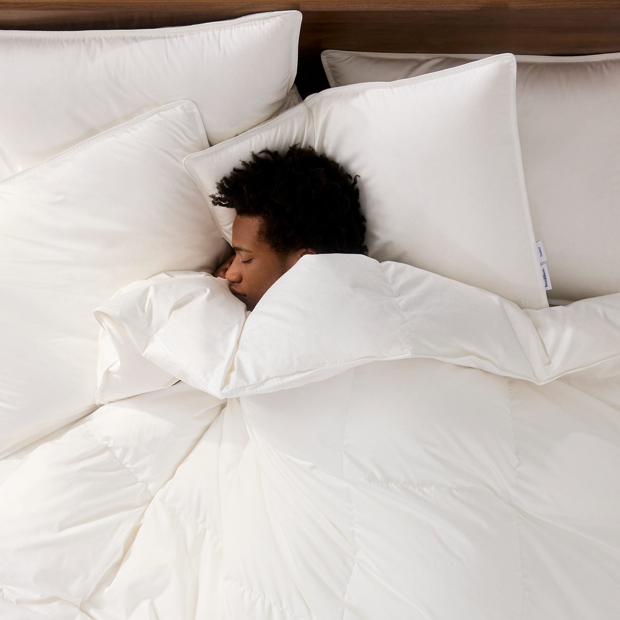 Down Pillow F3