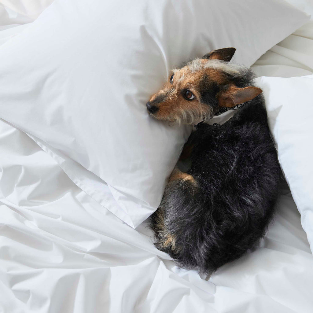 Classic Percale Duvet Cover P4