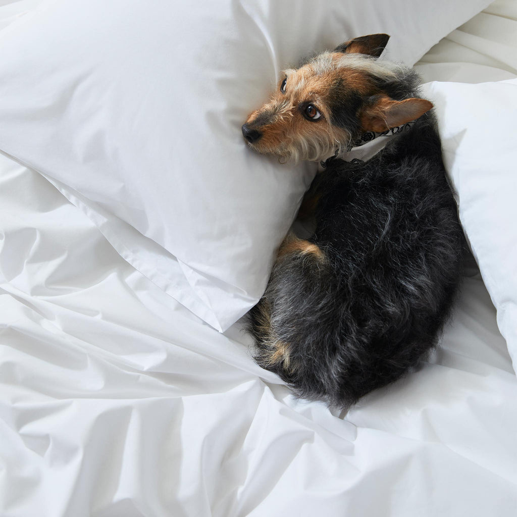 Classic Percale Core Sheet Set I6